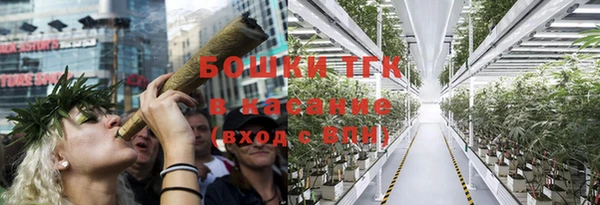 ГАЛЛЮЦИНОГЕННЫЕ ГРИБЫ Белокуриха