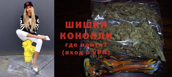 ГАЛЛЮЦИНОГЕННЫЕ ГРИБЫ Белокуриха