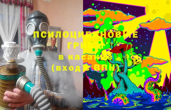 ГАЛЛЮЦИНОГЕННЫЕ ГРИБЫ Белокуриха
