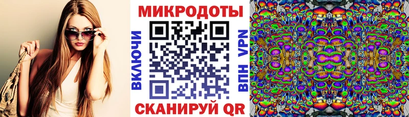 Псилоцибиновые грибы Cubensis Козельск